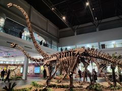 -自贡恐龙博物馆