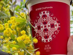 -茶百道(广都店)