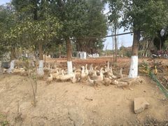 -好江南农庄·农家乐