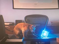 -金逸影城(中关村店)