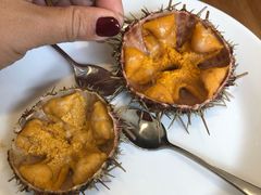 -海胆小馆(东北水饺·春柳店)