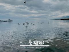 -青海湖国家重点风景名胜区