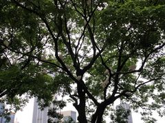-人民广场