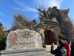 -大槐树寻根祭祖园