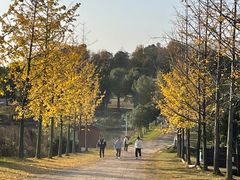 -梁子湖东篱老屋生态庄园