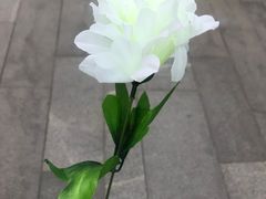 -侵华日军南京大屠杀遇难同胞纪念馆