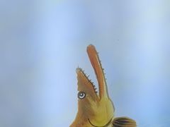 -徽三说·土徽菜·中国徽菜连锁品牌(一中店)