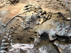 -世界恐龙谷景区