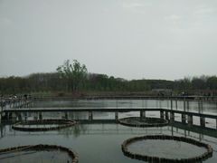 -昆山城市生态森林公园