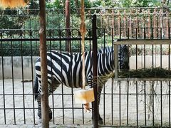 -青藏高原野生动物园