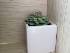 -蜜蜂读书·24h自习室(角门西店)