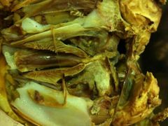 android_upload_pic-海德呼市酒店-理疗按摩