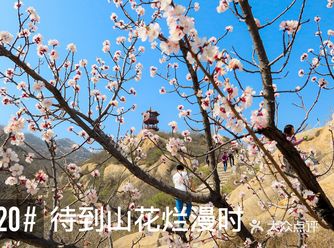 戴着口罩爬山真是一种考验啊！