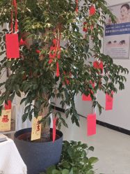 -黎蓓露·徒手骨雕蛋白抗衰·调肤管理