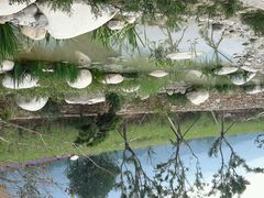 android_upload_pic-紫云台香草园