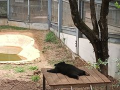 -昆明动物园