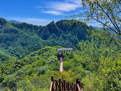 -大岭沟猕猴桃谷风景区