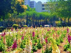 -华南师范大学(广州大学城校区)