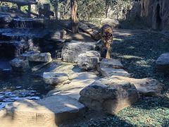 -北京野生动物园