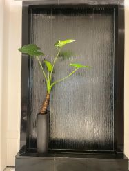 -奥斯芬·欧系贵族SPA