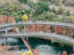 -福道