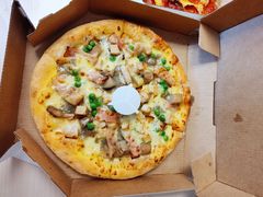 -达美乐比萨(国瑞北路店)