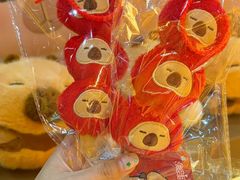 -国家会议中心大酒店