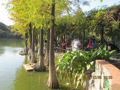 -东莞市可园博物馆