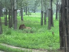 -秦皇岛野生动物园