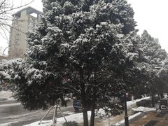 -华盛丰温州大排档(东三环南路店)