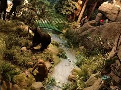 -陕西自然博物馆