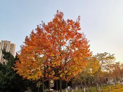 -甘井子公园