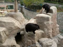 -石家庄市动物园