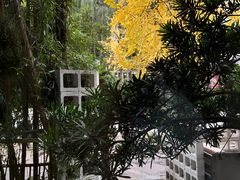 -扫雪煮茶(西村店)
