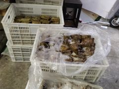 -金太粽(上海弄堂第一粽店)