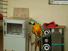 -南戴河国际娱乐中心