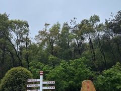 -韶山毛泽东同志故居