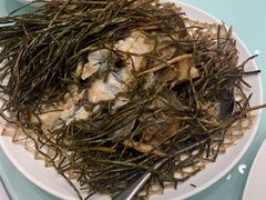 葱烤鸦片鱼头-新吉士·上海菜(浦东LCM置汇旭辉店)