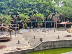 -广东茂名森林公园