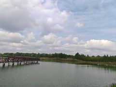-南湖湿地公园