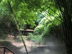 -芦沟竹海