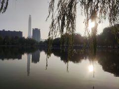 -泰丰公园