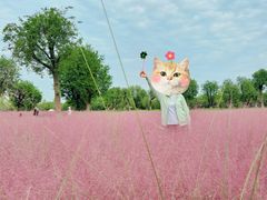 -汉长安城未央宫国家考古遗址公园