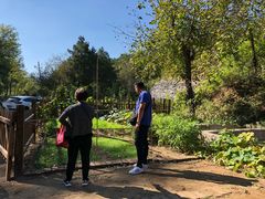 -荣德灶台鱼(圣泉寺店)