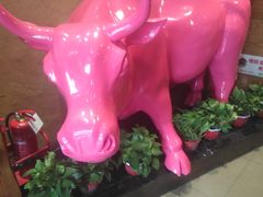 -小放牛炒菜馆(裕华东路店)
