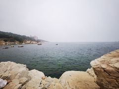 -养马岛旅游度假区
