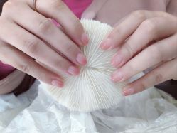 点击看大图 -灰姑娘美甲美睫馆