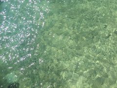-东姑阿都拉曼海洋公园