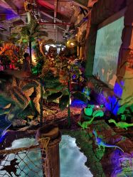 -恐龙探索乐园(磁器口店)