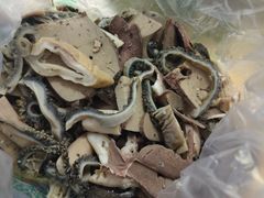 -洪记白水羊头(留学路店)